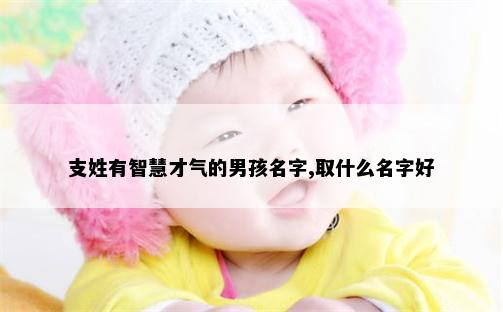 支姓有智慧才气的男孩名字,取什么名字好