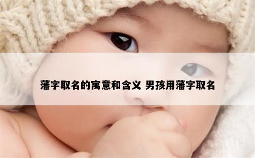藩字取名的寓意和含义 男孩用藩字取名
