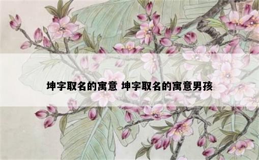 坤字取名的寓意 坤字取名的寓意男孩