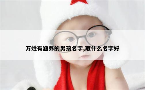 万姓有涵养的男孩名字,取什么名字好