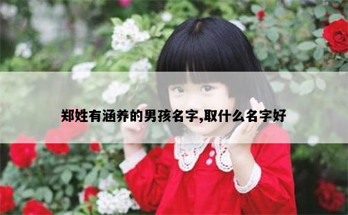 郑姓有涵养的男孩名字,取什么名字好