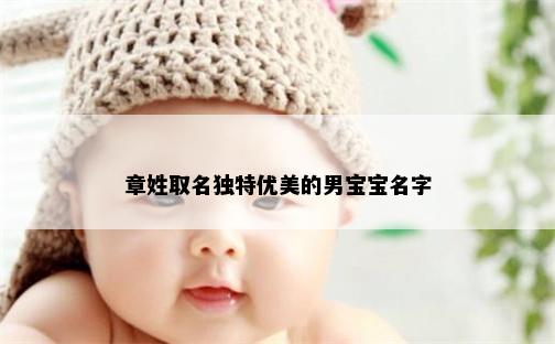 章姓取名独特优美的男宝宝名字