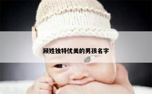 顾姓独特优美的男孩名字