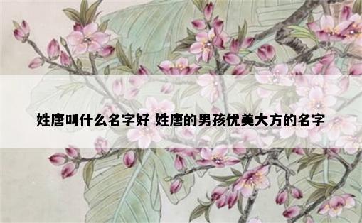 姓唐叫什么名字好 姓唐的男孩优美大方的名字