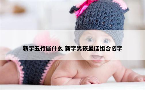 新字五行属什么 新字男孩最佳组合名字