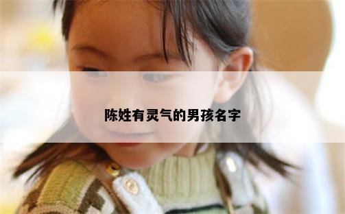 陈姓有灵气的男孩名字