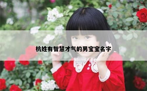 杭姓有智慧才气的男宝宝名字