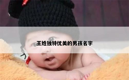 王姓独特优美的男孩名字