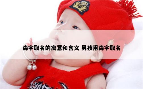 森字取名的寓意和含义 男孩用森字取名