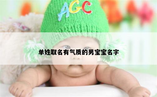 单姓取名有气质的男宝宝名字