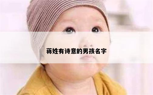 蒋姓有诗意的男孩名字