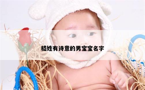 嵇姓有诗意的男宝宝名字