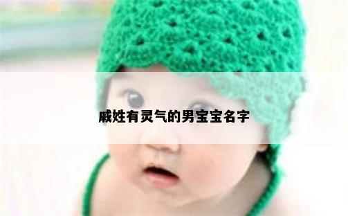 戚姓有灵气的男宝宝名字