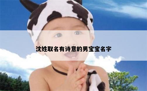 沈姓取名有诗意的男宝宝名字