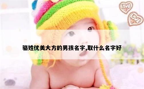 骆姓优美大方的男孩名字,取什么名字好