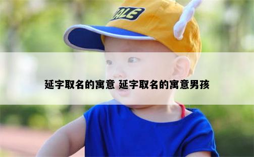 延字取名的寓意 延字取名的寓意男孩