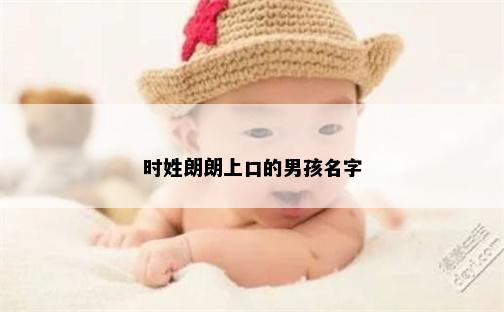 时姓朗朗上口的男孩名字