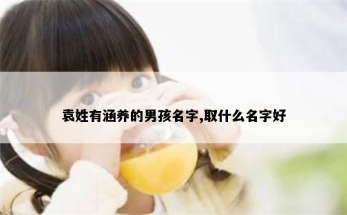袁姓有涵养的男孩名字,取什么名字好