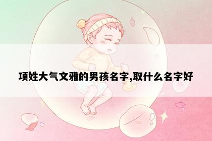 项姓大气文雅的男孩名字,取什么名字好