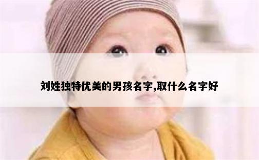 刘姓独特优美的男孩名字,取什么名字好