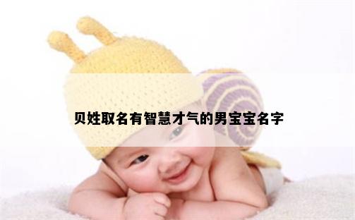 贝姓取名有智慧才气的男宝宝名字