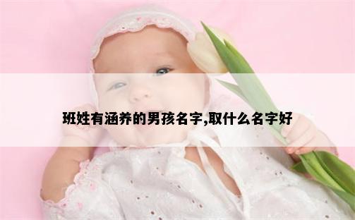 班姓有涵养的男孩名字,取什么名字好
