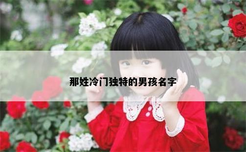 那姓冷门独特的男孩名字