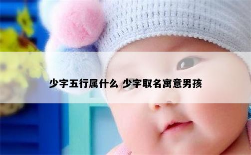 少字五行属什么 少字取名寓意男孩