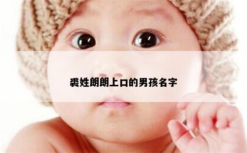 裘姓朗朗上口的男孩名字