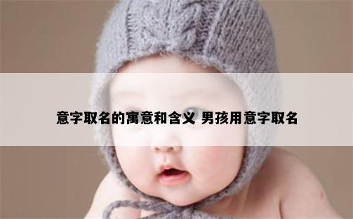 意字取名的寓意和含义 男孩用意字取名