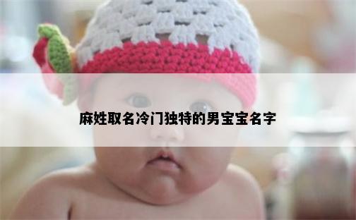 麻姓取名冷门独特的男宝宝名字