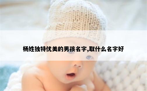 杨姓独特优美的男孩名字,取什么名字好