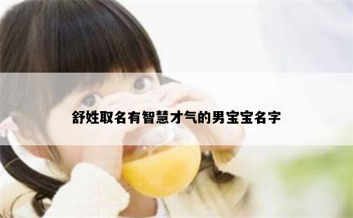 舒姓取名有智慧才气的男宝宝名字