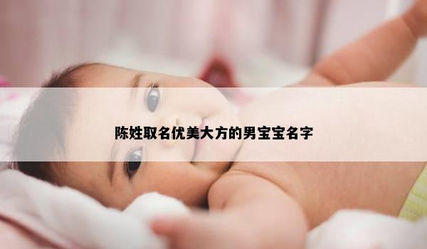 陈姓取名优美大方的男宝宝名字