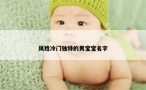 凤姓冷门独特的男宝宝名字