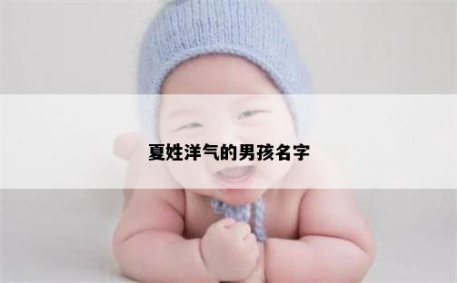 夏姓洋气的男孩名字