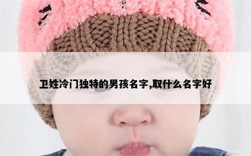 卫姓冷门独特的男孩名字,取什么名字好