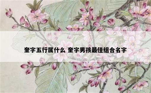 奎字五行属什么 奎字男孩最佳组合名字