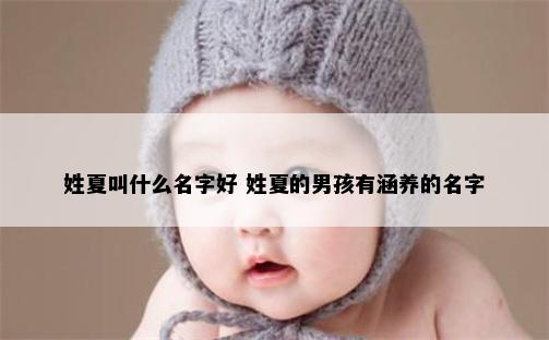 姓夏叫什么名字好 姓夏的男孩有涵养的名字