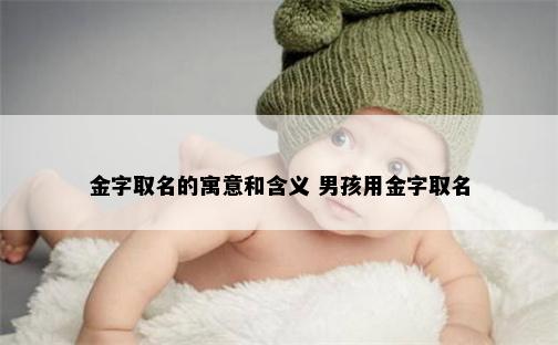 金字取名的寓意和含义 男孩用金字取名