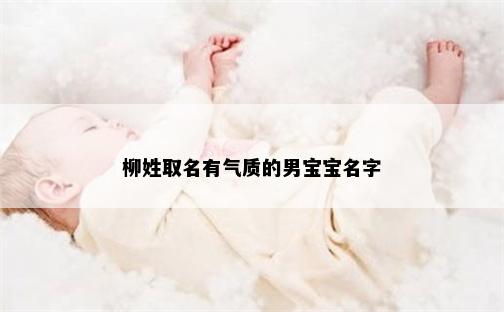 柳姓取名有气质的男宝宝名字