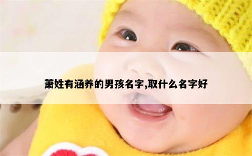 萧姓有涵养的男孩名字,取什么名字好