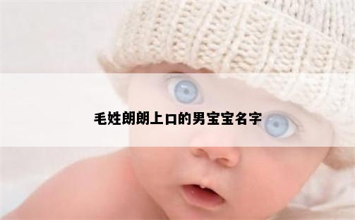 毛姓朗朗上口的男宝宝名字
