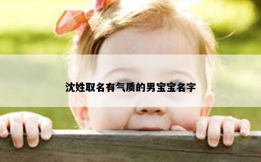 沈姓取名有气质的男宝宝名字