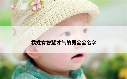 袁姓有智慧才气的男宝宝名字