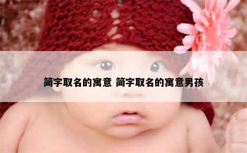 简字取名的寓意 简字取名的寓意男孩