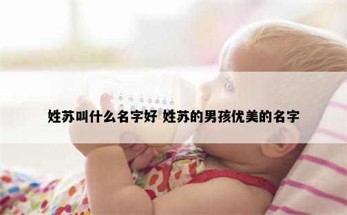 姓苏叫什么名字好 姓苏的男孩优美的名字