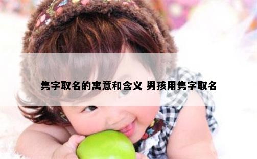 隽字取名的寓意和含义 男孩用隽字取名