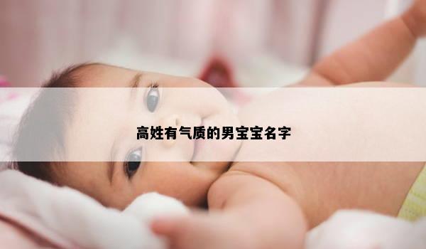 高姓有气质的男宝宝名字
