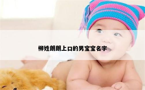 柳姓朗朗上口的男宝宝名字
